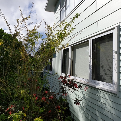 patricia wades insert windows.jpg